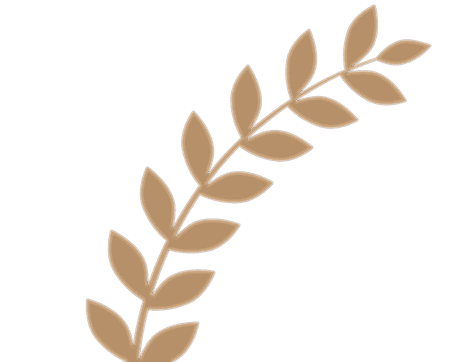 Kalite